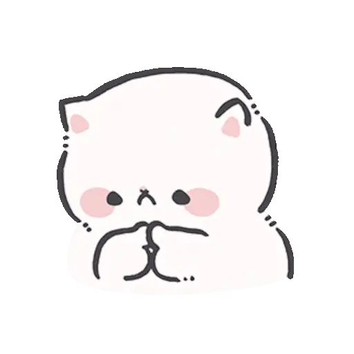 Gatito blanco 😸🤍 fluffy 🩷 3