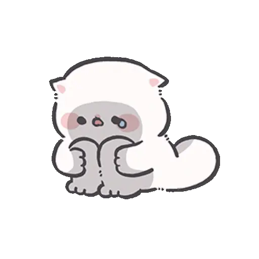 Gatito blanco 😸🤍 fluffy 🩷 19