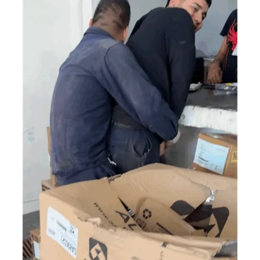 Enano coqueto 9