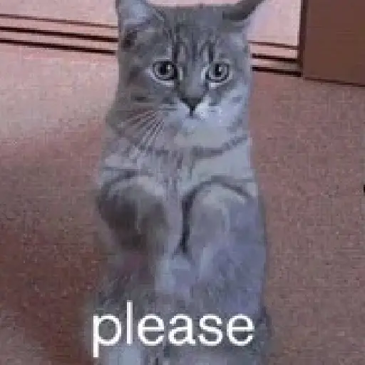 👉🏻👈🏻 Por favor Please 🥺 3