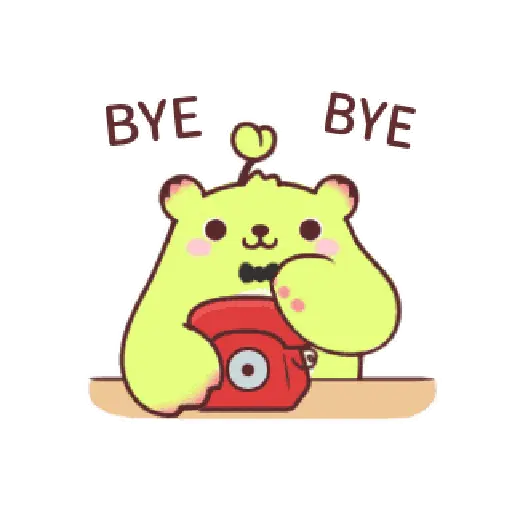 Bye bye 👋🏻👋🏻 Adiós 11