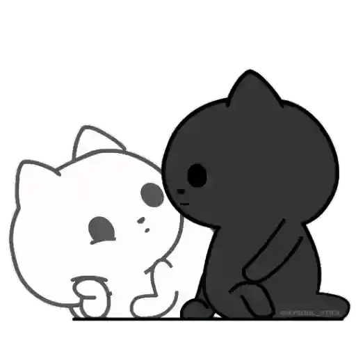 ❤️ Amor Parejitas de Gatos 😻❤️ 14