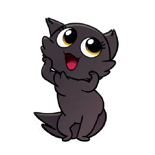 Créu Cat  Gato negro 🐈‍⬛📲 12