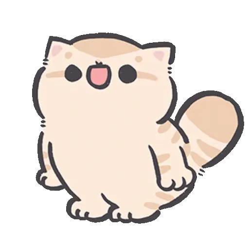 Gatito blanco 😸🤍 fluffy 🩷 2