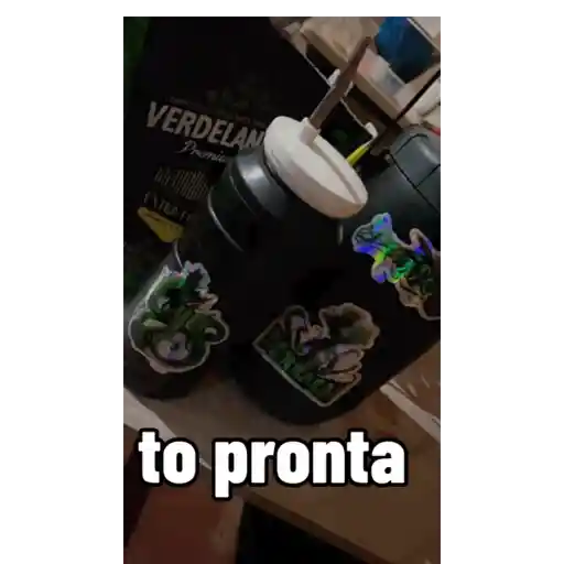 Zoeira 6