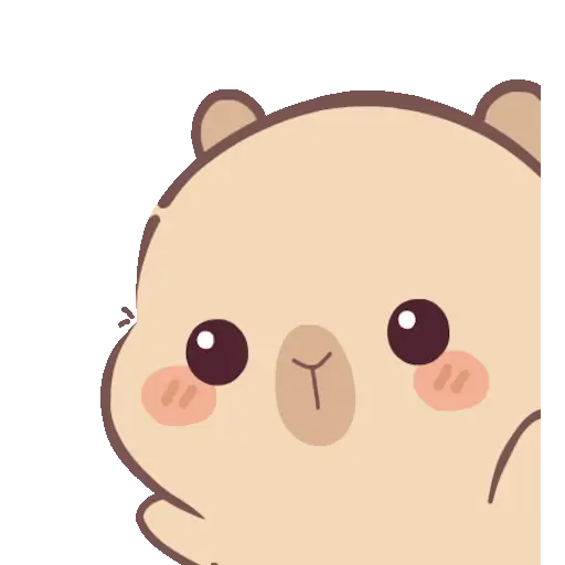 🦫 Capibara chibi (⁠ᵔ⁠ᴥ⁠ᵔ⁠) 11