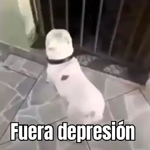 Fuera fuera depresion 🗣 5
