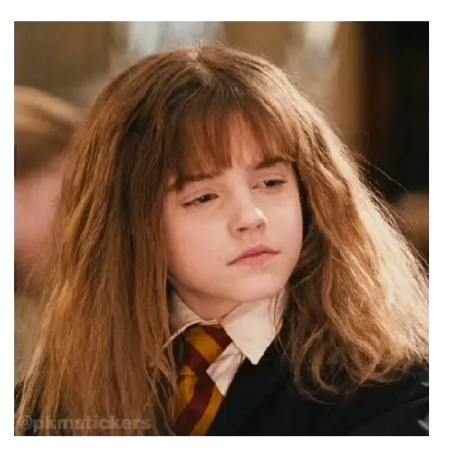 Harry Potter I 🧙🪄 13