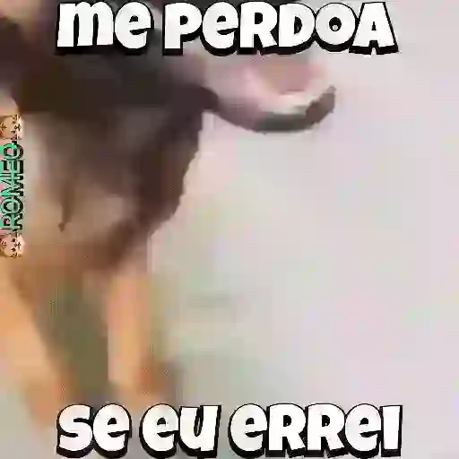 Stickers 26