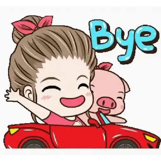 Bye bye 👋🏻👋🏻 Adiós 19