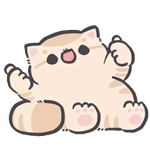 Gatito blanco 😸🤍 fluffy 🩷 16