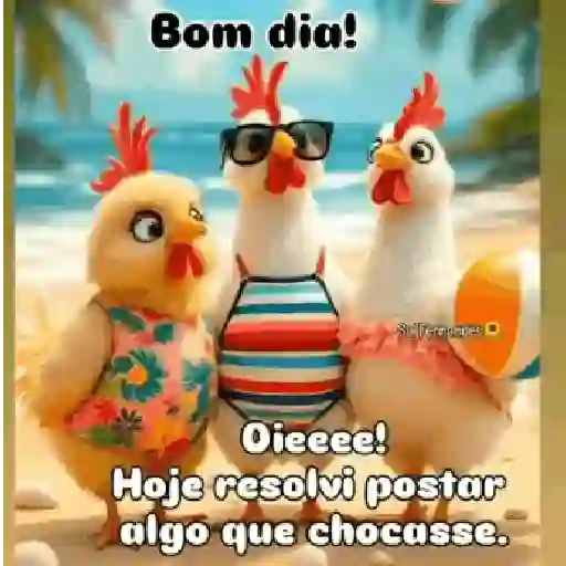 Bom dia, acorda, café - 21 20