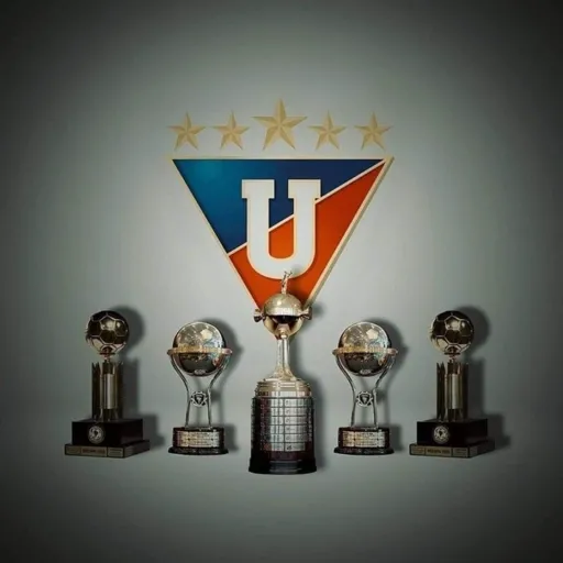LDU 12
