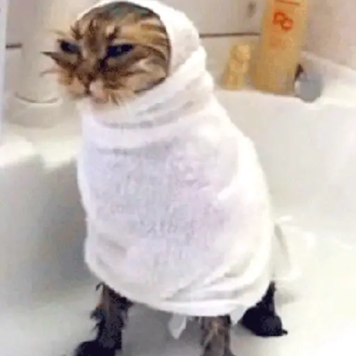 FRIO  4