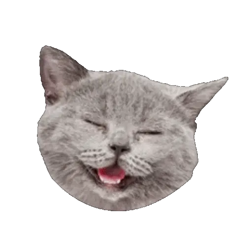 😂 HaHa Jajajajajaja 😂 6
