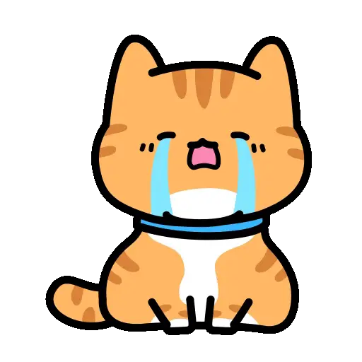 Gatos pa tu chat1 🐈🐈‍⬛📲 4