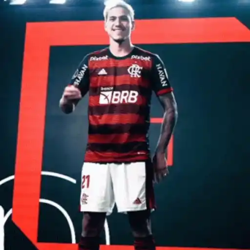 Flamengo 12