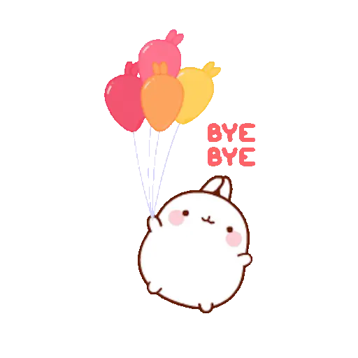 🐰 Conejo Molang Bunny🐰🥕 13