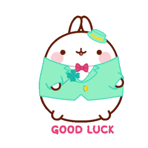 🐰 Conejo Molang Bunny🐰🥕 7
