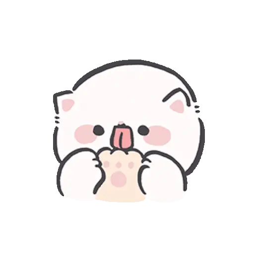 Gatito blanco 😸🤍 fluffy 🩷 17