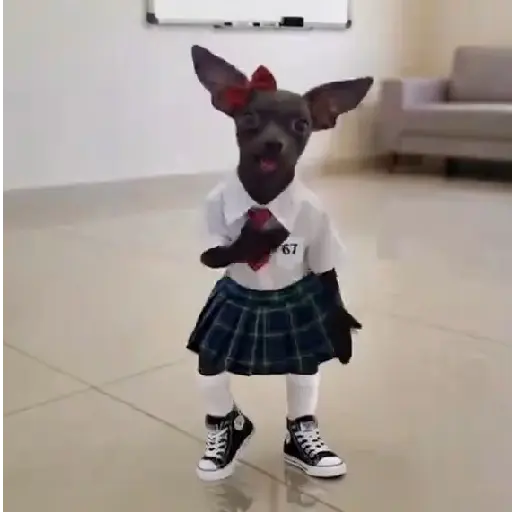 Memes  26