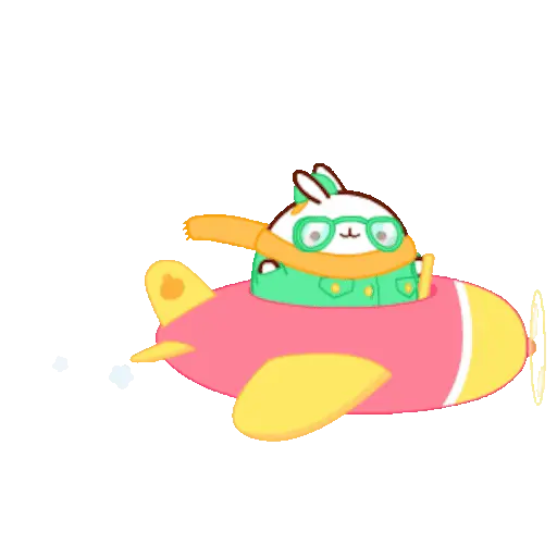 🐰 Conejo Molang Bunny🐰🥕 24