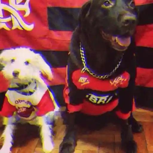 Flamengo 14