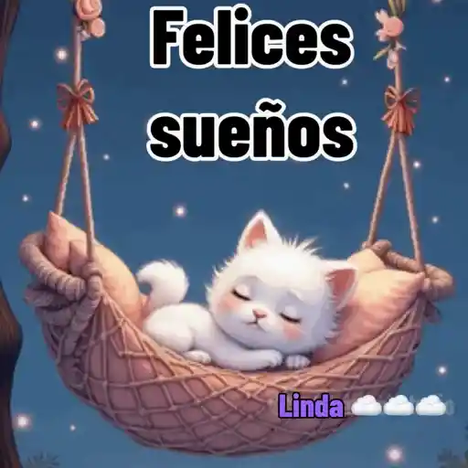 Axy Linda 26-13 18