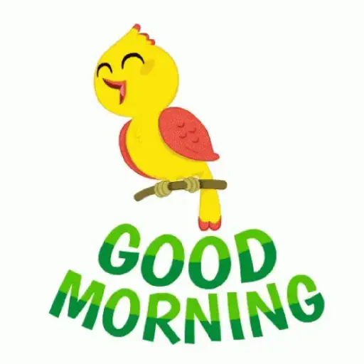 Good morning 6