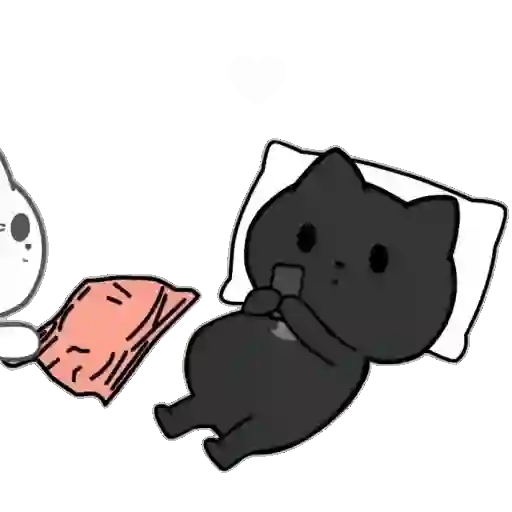 ❤️ Amor Parejitas de Gatos 😻❤️ 11