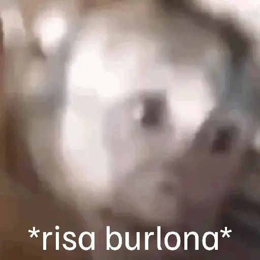 Risas 🤣 3