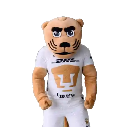 Pumas  1
