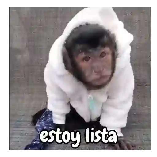 Frío de monos 🙉❄️ 10