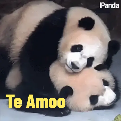 Carminha Debochada 27