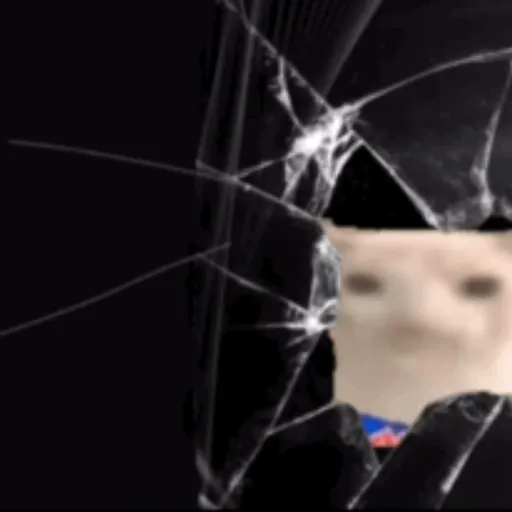 Memes  10