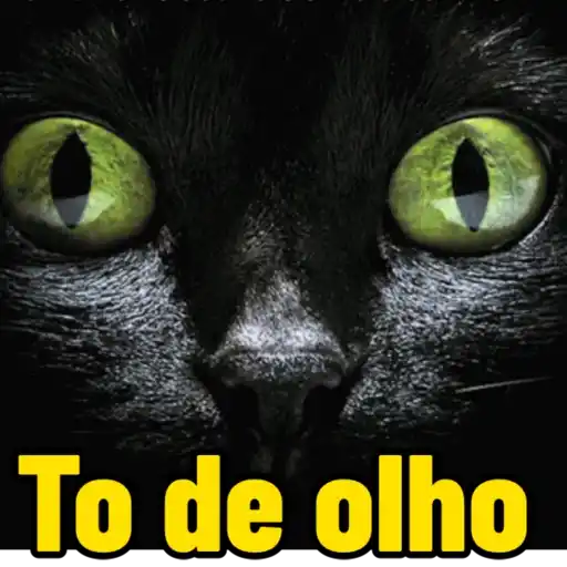 As melhores  8