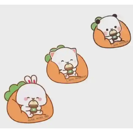 Peach & Goma😻❤️ 23