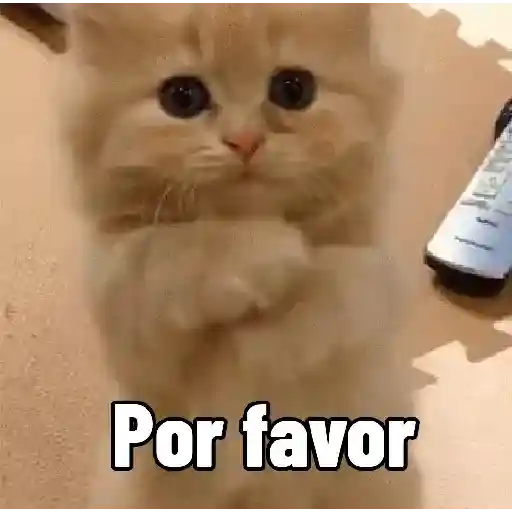 Reações fofas ❤️😍 7