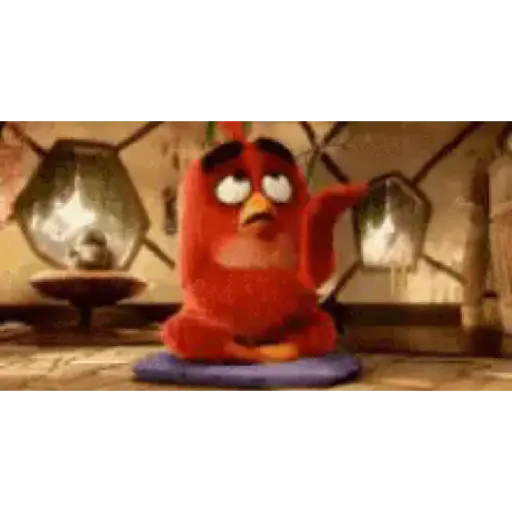 Angry birds 6