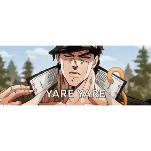 Jojo Bizarre Adventures 11