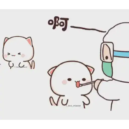 Peach & Goma😻❤️ 24