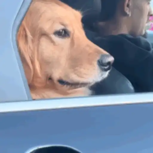 Driver? Take me to chanel 23