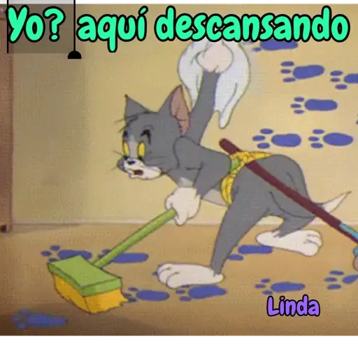 Axy Linda 11 9