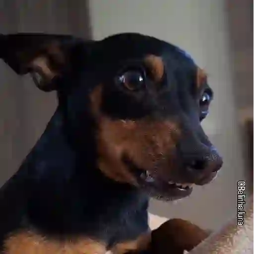 ❦̷ ⃝⃔❤⃪็ᭂƘcɦ̢ꫀ֟፝͞ᥲ𝛛ᥲ᬴᭄⃕͜ 
❤️ 7