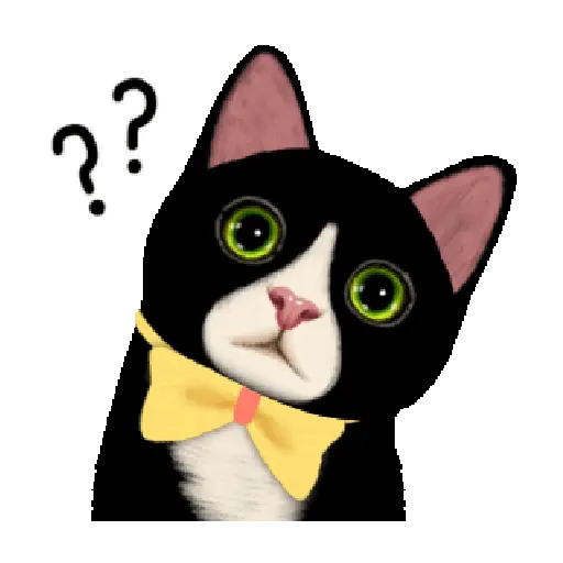 Gatitos 16