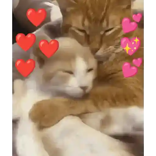Reações fofas ❤️😍 9