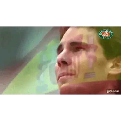 Animados 1 6