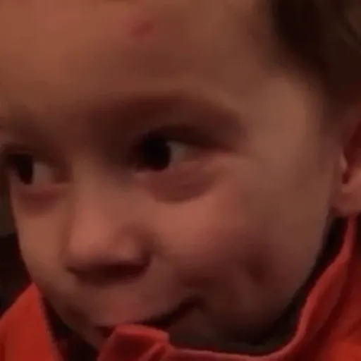 GAVIN  13