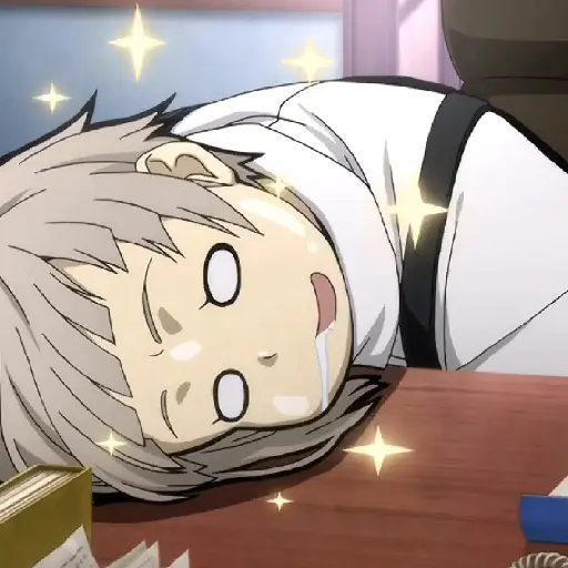 Bungou Stray Dogs 17