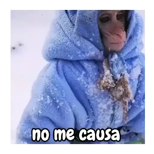 Frío de monos 🙉❄️ 5